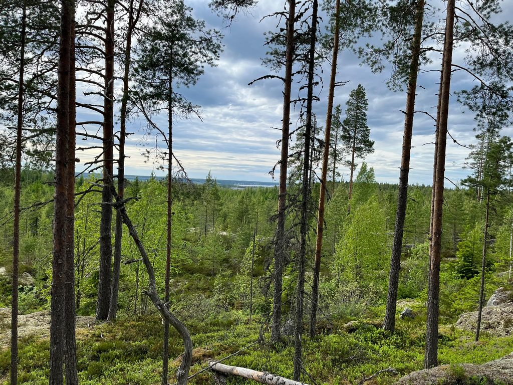 Jukolan jatkot Rumavuorella