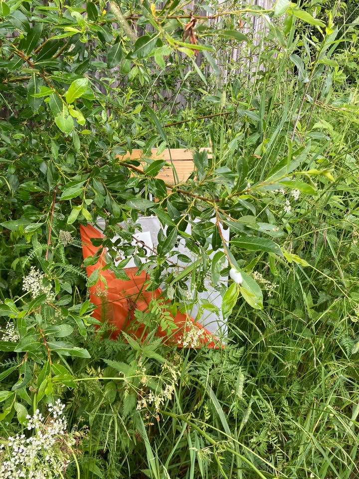 Kuortaneen Kunto - Suunnistus ja hiihto